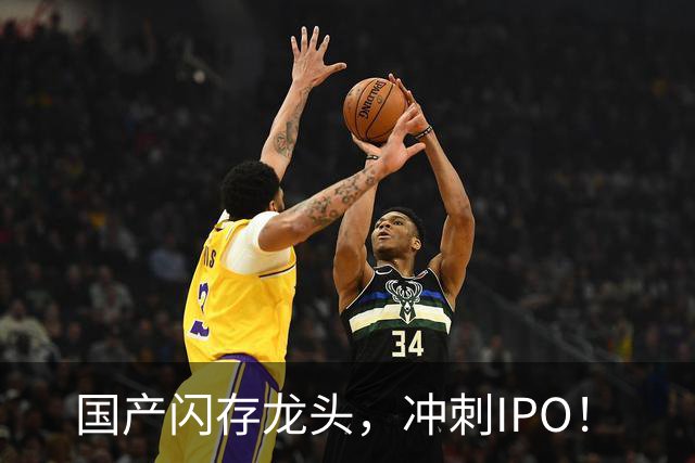 国产闪存龙头，冲刺IPO！